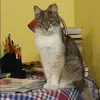 Отзыв от Эмилия Булатова